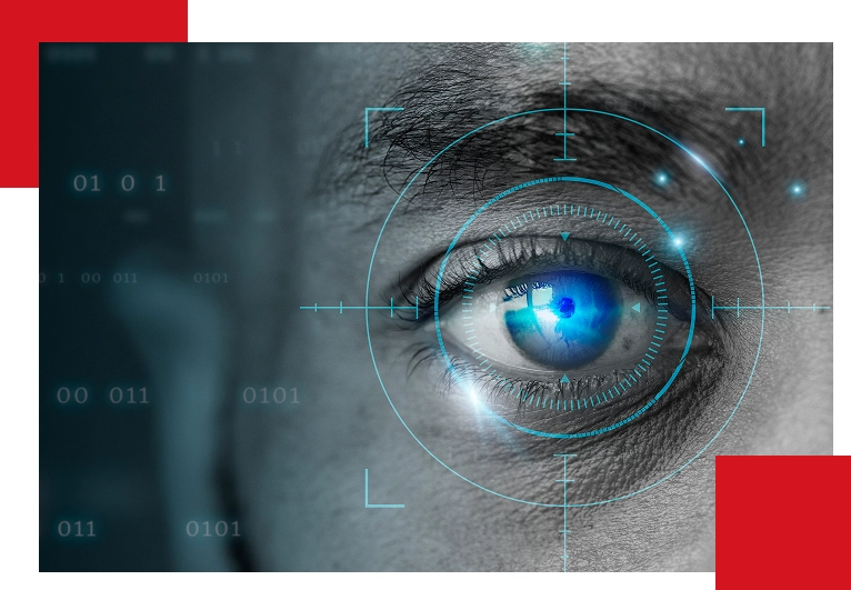 Custom Solutions Tailored to Business Needs