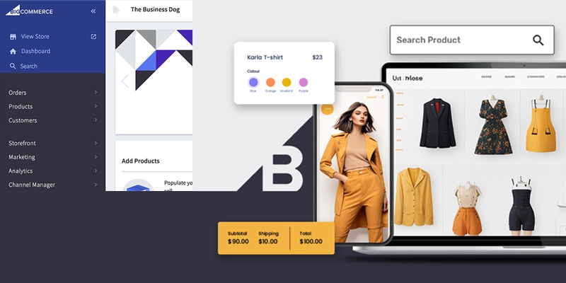 BigCommerce-platform