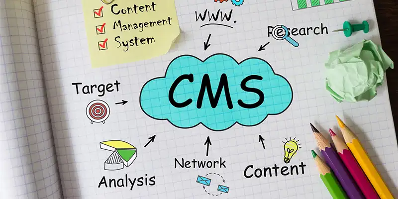 CMS Development